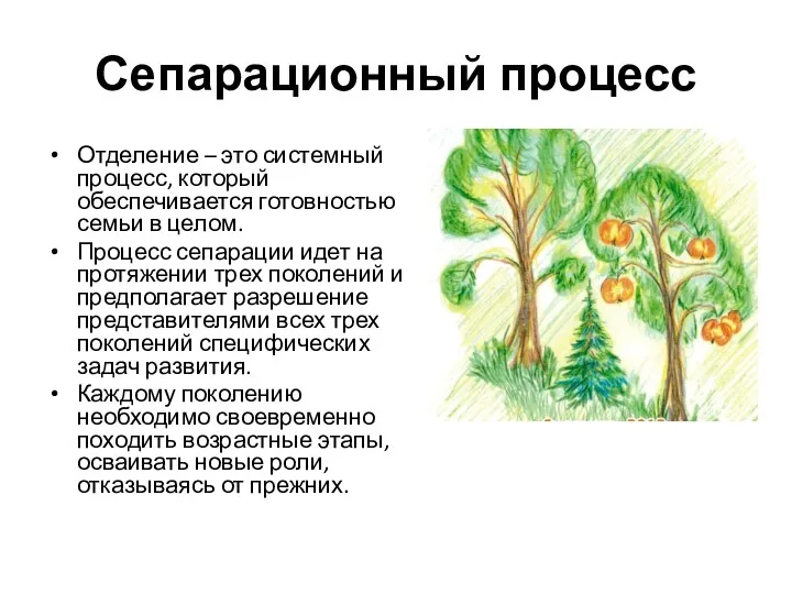 Сепарационный процесс Отделение – это системный процесс, который обеспечивается готовностью