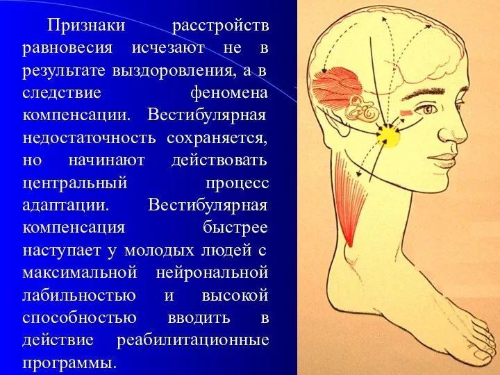 Признаки расстройств равновесия исчезают не в результате выздоровления, а в следствие феномена компенсации.