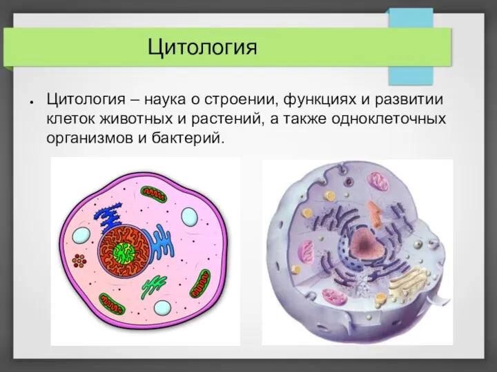 Цитология Цитология – наука о строении, функциях и развитии клеток