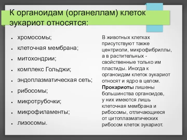 К органоидам (органеллам) клеток эукариот относятся: хромосомы; клеточная мембрана; митохондрии;