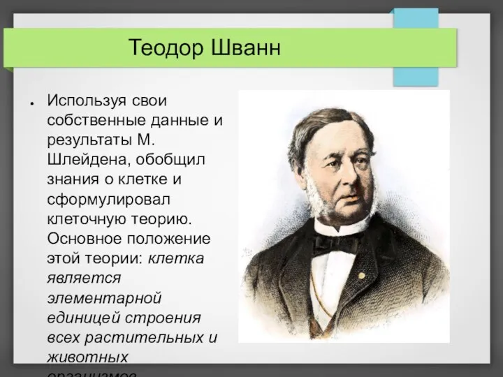 Теодор Шванн Используя свои собственные данные и результаты М. Шлейдена,