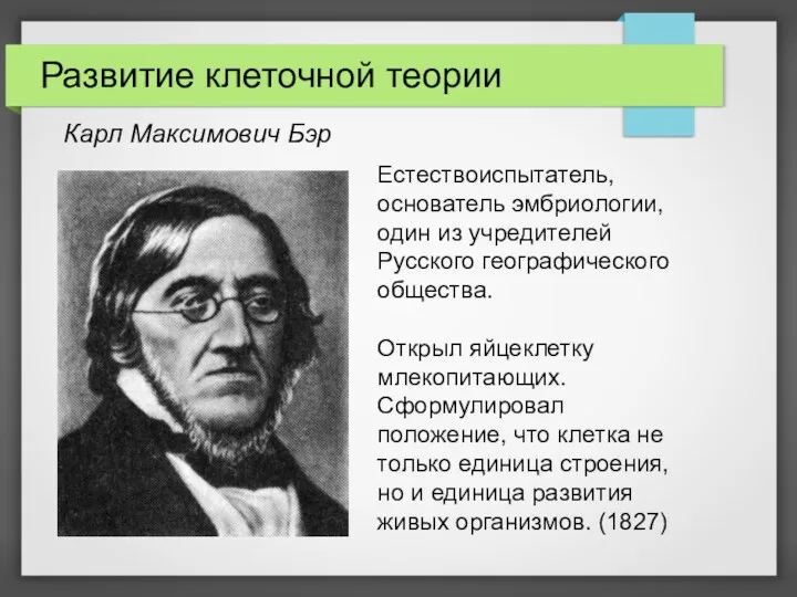 Развитие клеточной теории Карл Максимович Бэр Естествоиспытатель, основатель эмбриологии, один