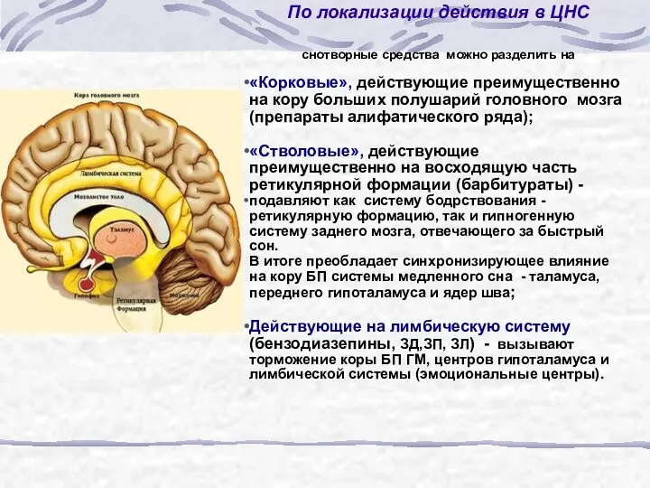 По локализации действия в ЦНС снотворные средства можно разделить на