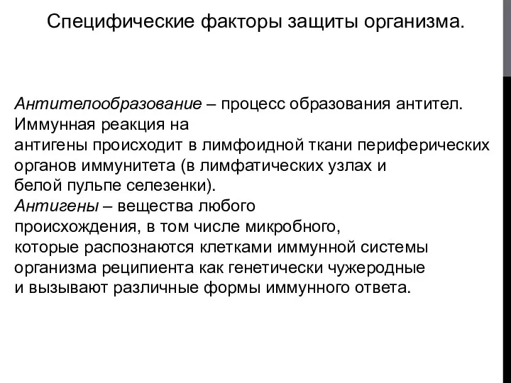 Специфические факторы защиты организма. Антителообразование – процесс образования антител. Иммунная