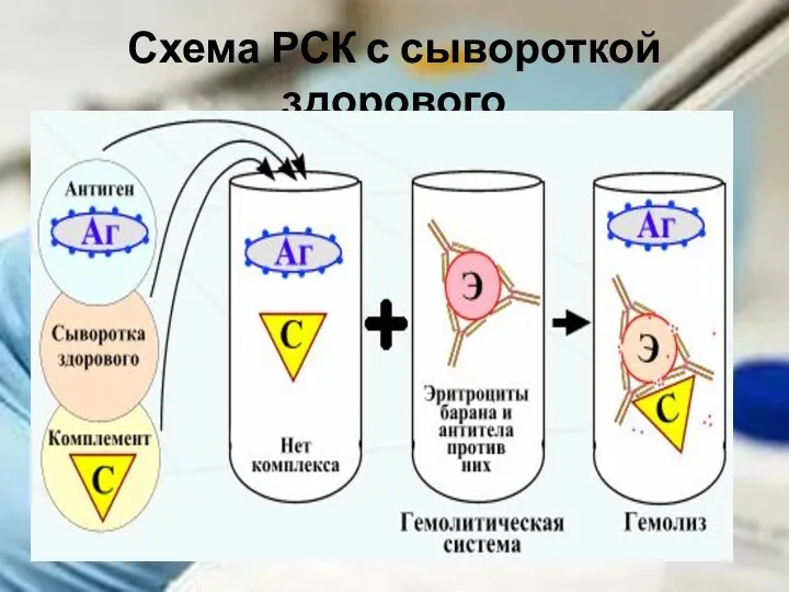 Схема РСК с сывороткой здорового