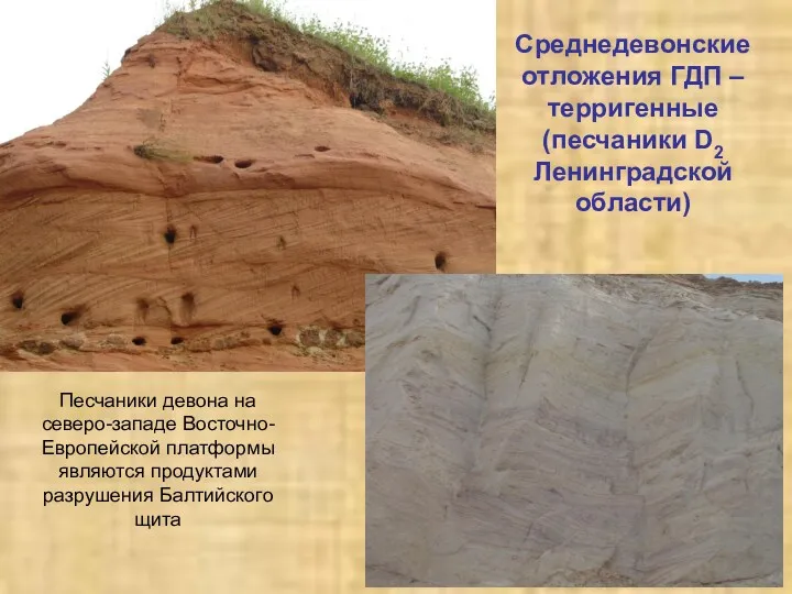 Среднедевонские отложения ГДП – терригенные (песчаники D2 Ленинградской области) Песчаники девона на северо-западе