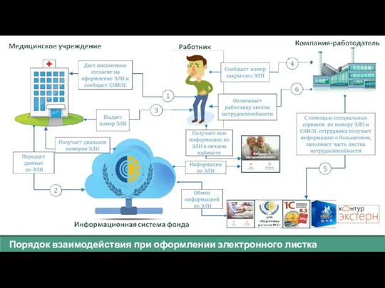 Порядок взаимодействия при оформлении электронного листка нетрудоспособности