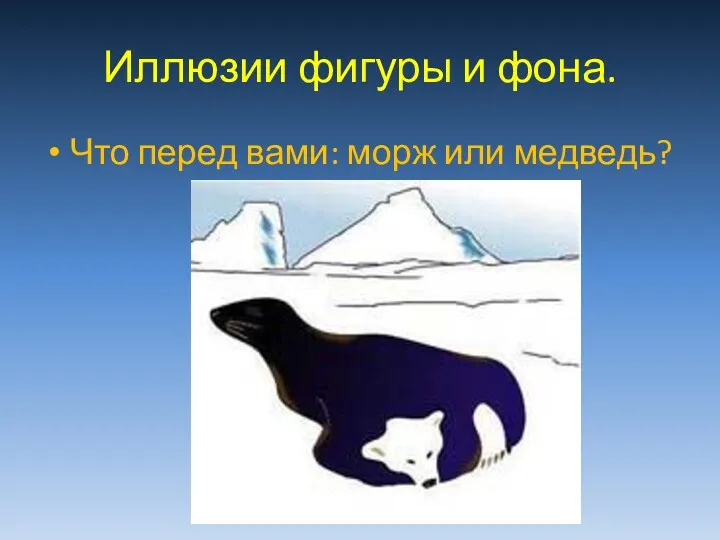 Иллюзии фигуры и фона. Что перед вами: морж или медведь?