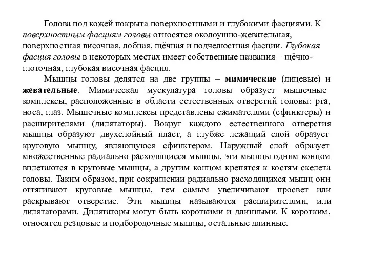 Голова под кожей покрыта поверхностными и глубокими фасциями. К поверхностным