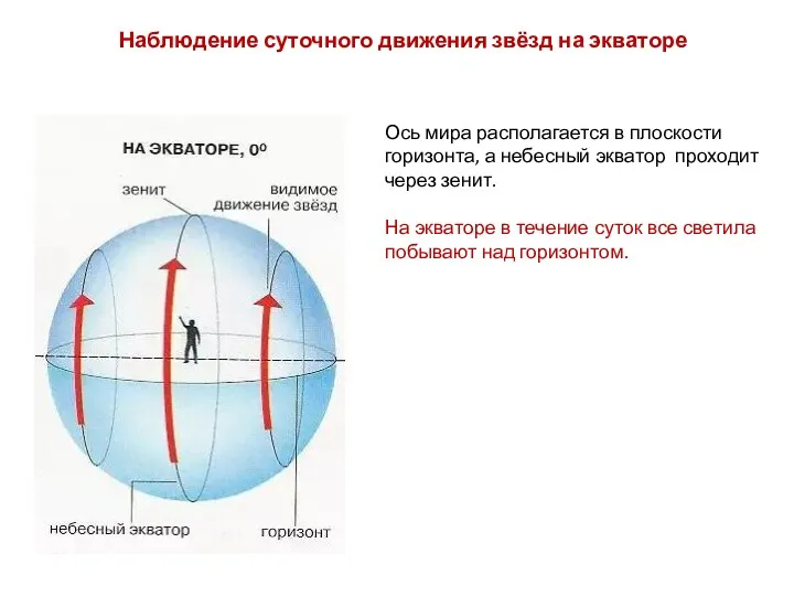 Ось мира располагается в плоскости горизонта, а небесный экватор проходит