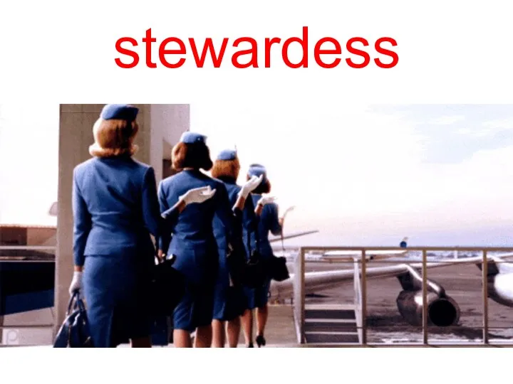 stewardess