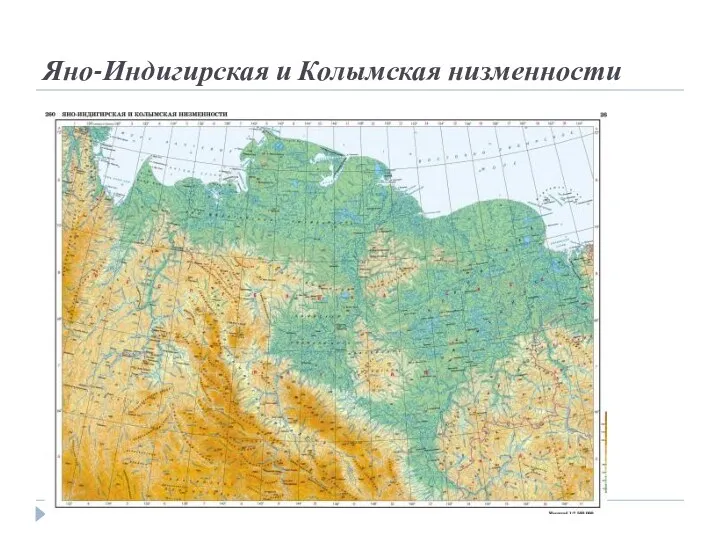 Яно-Индигирская и Колымская низменности