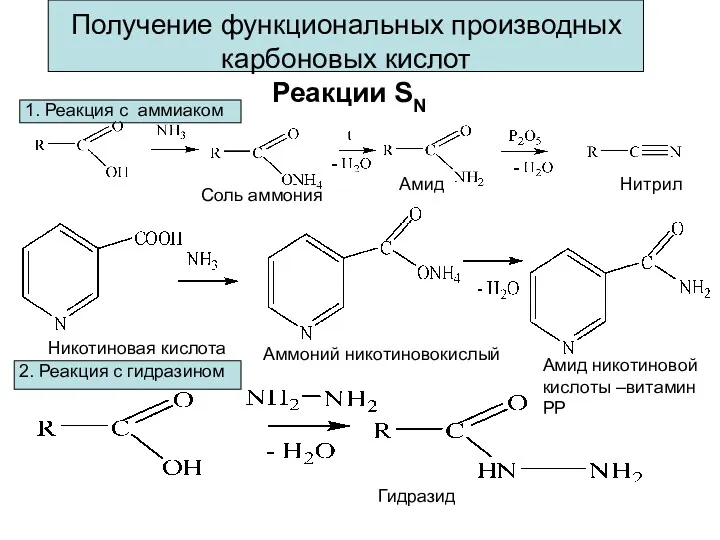 Получение функциональных производных карбоновых кислот Реакции SN Соль аммония Амид Нитрил Никотиновая кислота