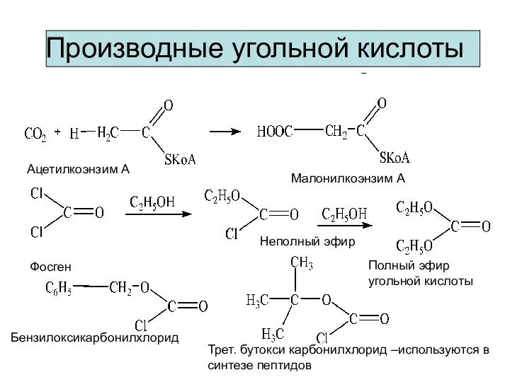 Производные угольной кислоты Ацетилкоэнзим А Малонилкоэнзим А Фосген Неполный эфир