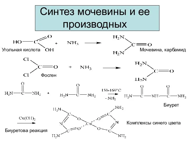 Синтез мочевины и ее производных Мочевина, карбамид Биурет Биуретова реакция Комплексы синего цвета Угольная кислота Фосген