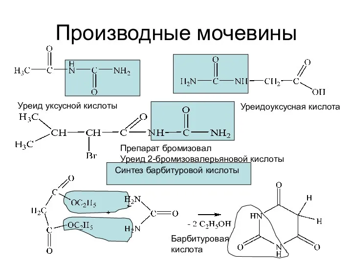 Производные мочевины Уреид уксусной кислоты Уреидоуксусная кислота Препарат бромизовал Уреид 2-бромизовалерьяновой кислоты Синтез