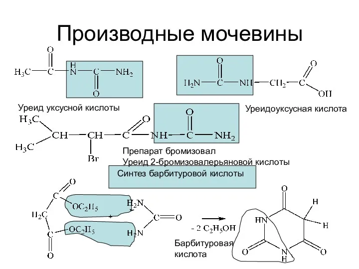 Производные мочевины Уреид уксусной кислоты Уреидоуксусная кислота Препарат бромизовал Уреид