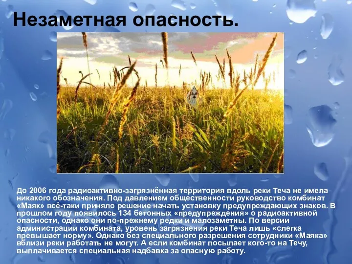 Незаметная опасность. До 2006 года радиоактивно-загрязнённая территория вдоль реки Теча