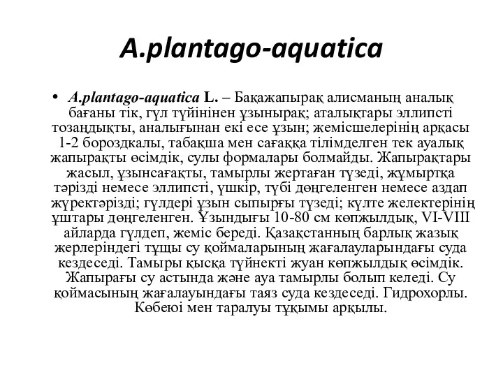 A.plantago-aquatica A.plantago-aquatica L. – Бақажапырақ алисманың аналық бағаны тік, гүл түйінінен ұзынырақ; аталықтары