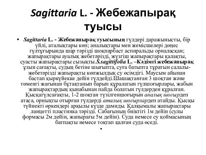 Sagittaria L. - Жебежапырақ туысы Sagittaria L. - Жебежапырақ туысының