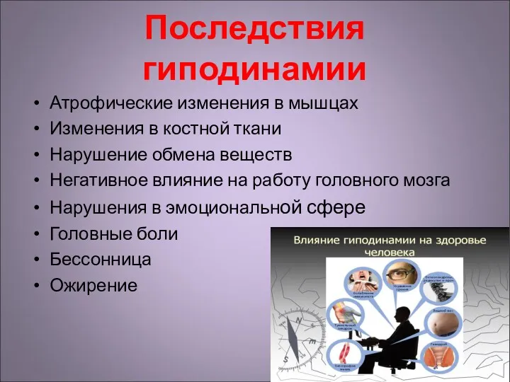 Последствия гиподинамии Атрофические изменения в мышцах Изменения в костной ткани