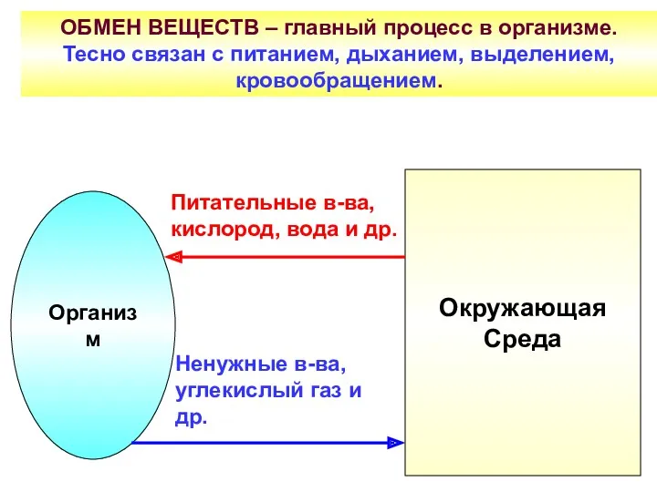 Организм Окружающая Среда Питательные в-ва, кислород, вода и др. Ненужные