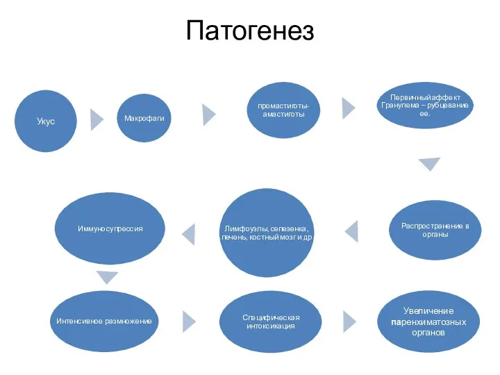 Патогенез