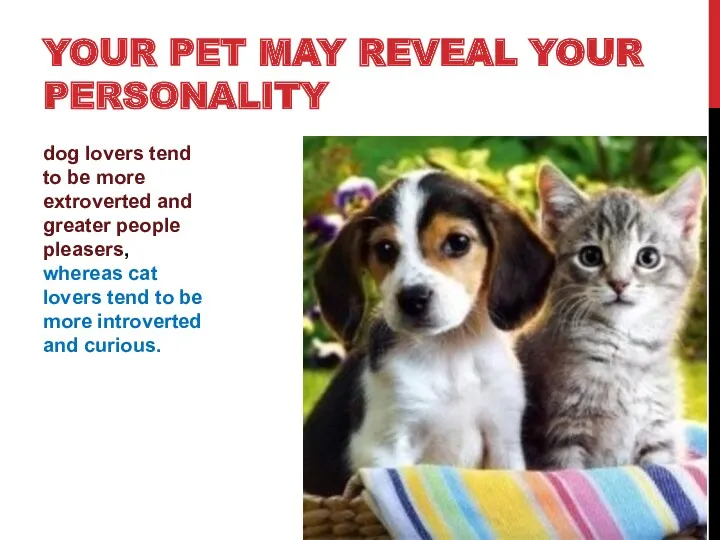 YOUR PET MAY REVEAL YOUR PERSONALITY dog lovers tend to