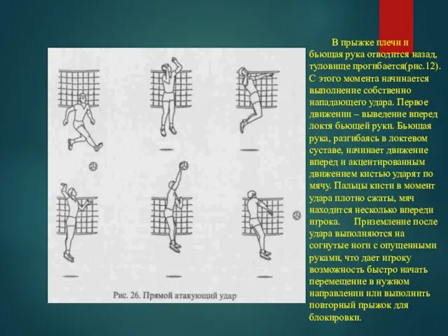 В прыжке плечи и бьющая рука отводится назад, туловище прогибается(рис.12).