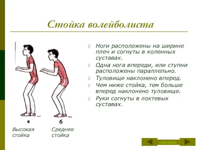 Стойка волейболиста Ноги расположены на ширине плеч и согнуты в