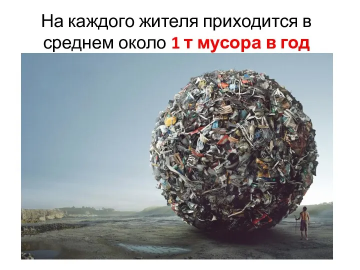 На каждого жителя приходится в среднем около 1 т мусора в год