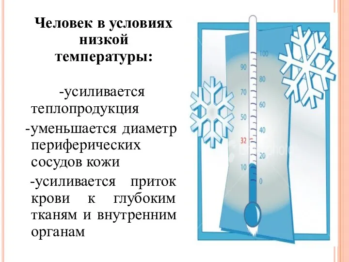 Человек в условиях низкой температуры: -усиливается теплопродукция -уменьшается диаметр периферических