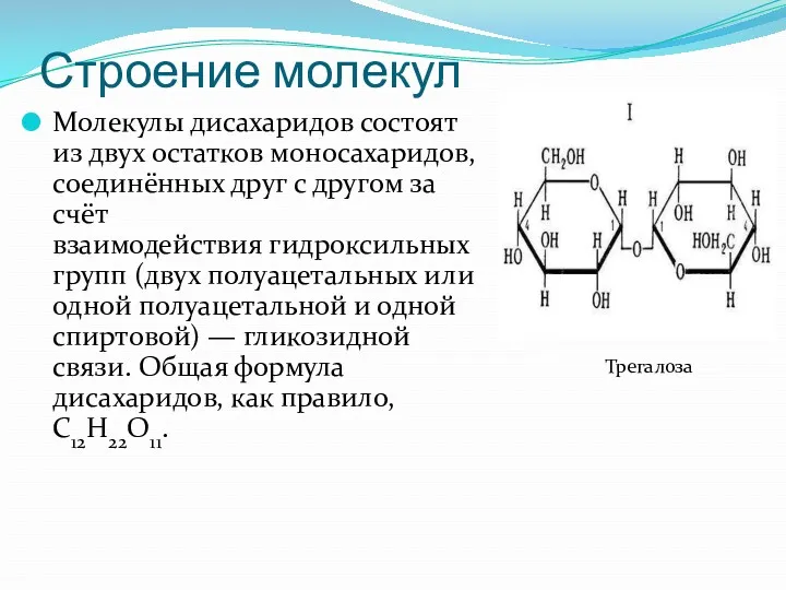 Строение молекул Молекулы дисахаридов состоят из двух остатков моносахаридов, соединённых