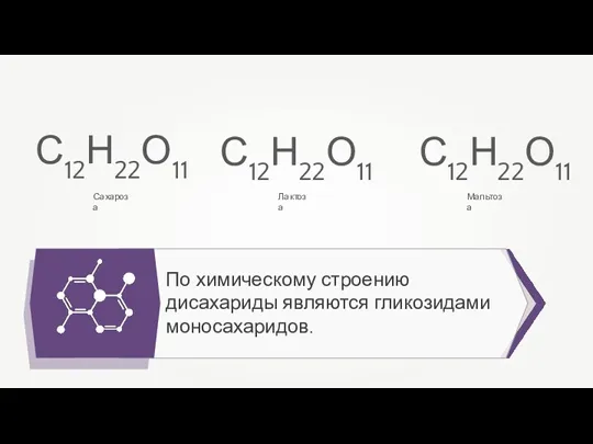 По химическому строению дисахариды являются гликозидами моносахаридов. С12Н22О11 Сахароза С12Н22О11 Лактоза С12Н22О11 Мальтоза