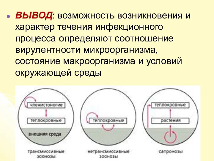 ВЫВОД: возможность возникновения и характер течения инфекционного процесса определяют соотношение