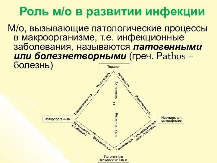 Роль м/о в развитии инфекции М/о, вызывающие патологические процессы в