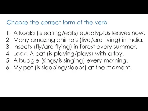Choose the correct form of the verb A koala (is