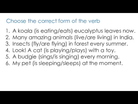 Choose the correct form of the verb A koala (is eating/eats) eucalyptus leaves