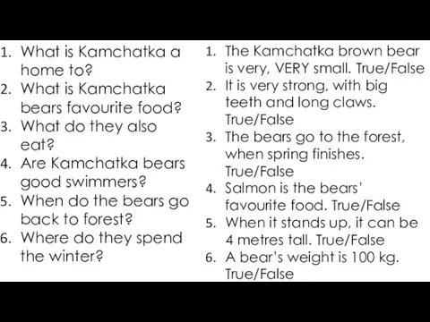 What is Kamchatka a home to? What is Kamchatka bears favourite food? What
