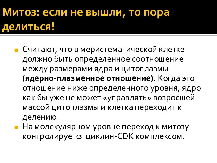 Митоз: если не вышли, то пора делиться! Считают, что в