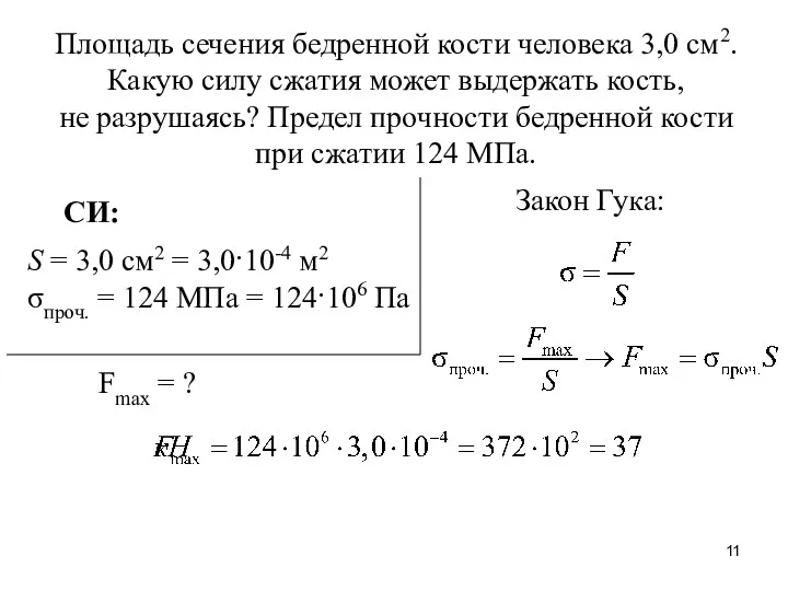 Площадь сечения бедренной кости человека 3,0 см2. Какую силу сжатия