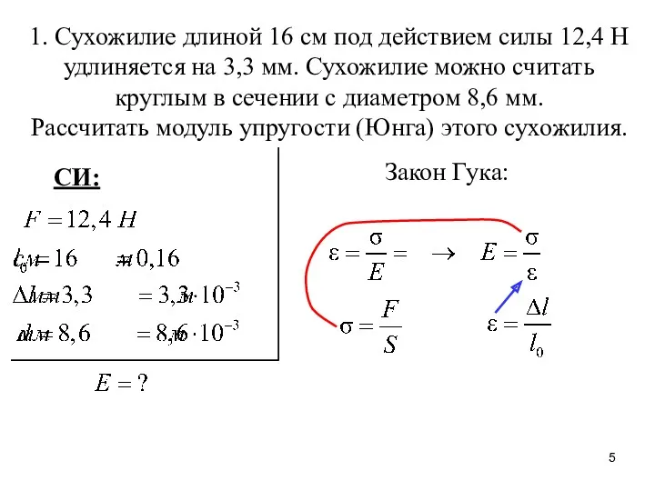 1. Сухожилие длиной 16 см под действием силы 12,4 Н