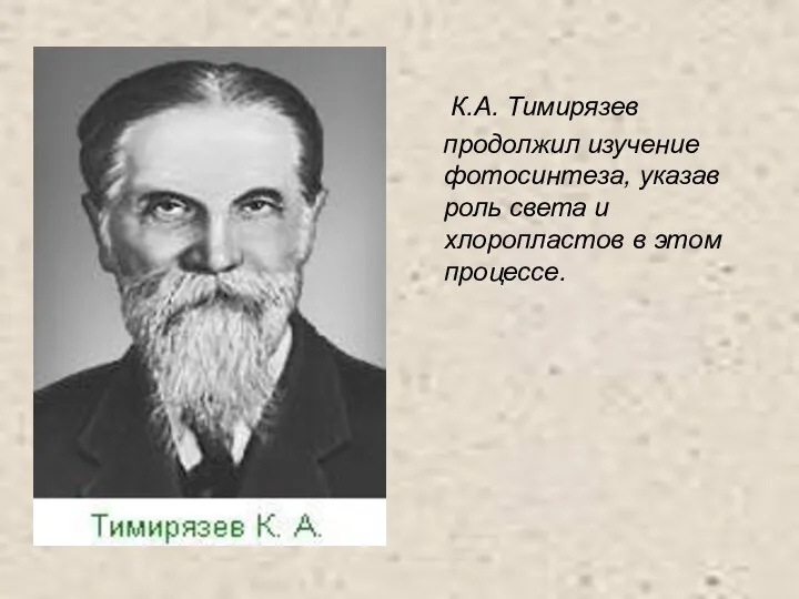 К.А. Тимирязев продолжил изучение фотосинтеза, указав роль света и хлоропластов в этом процессе.