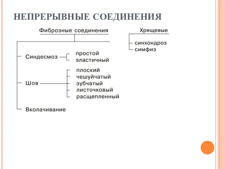 НЕПРЕРЫВНЫЕ СОЕДИНЕНИЯ