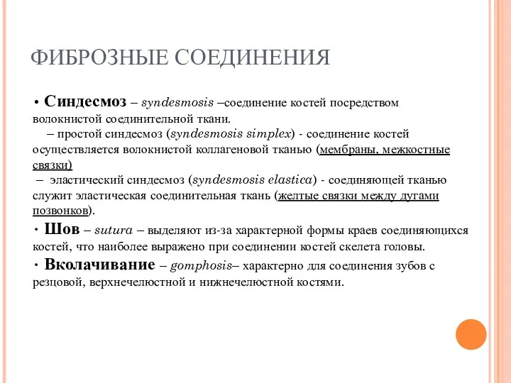 ФИБРОЗНЫЕ СОЕДИНЕНИЯ • Синдесмоз – syndesmosis –соединение костей посредством волокнистой