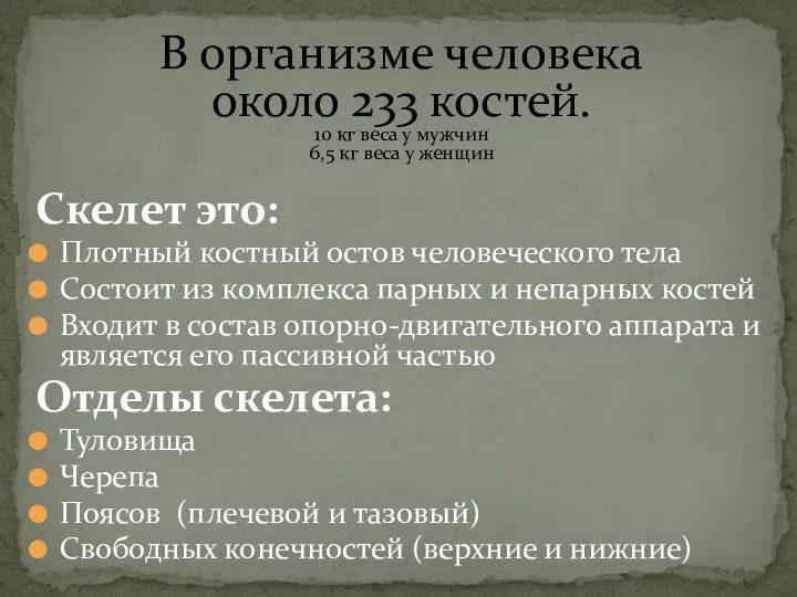 Скелет это: Плотный костный остов человеческого тела Состоит из комплекса