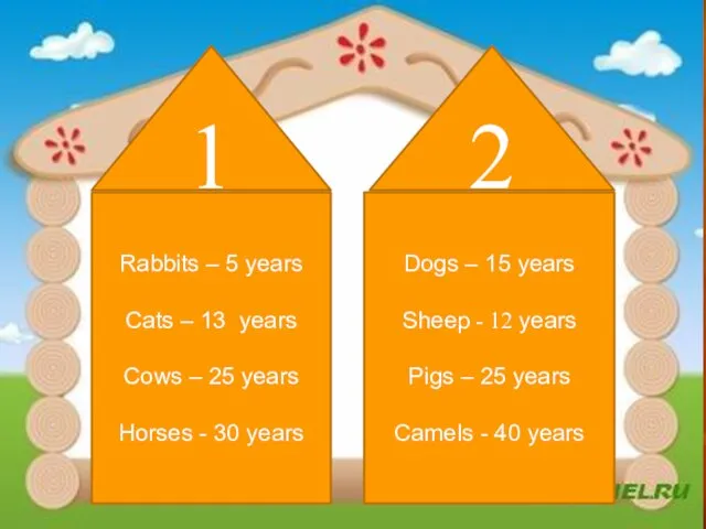 Rabbits – 5 years Cats – 13 years Cows –