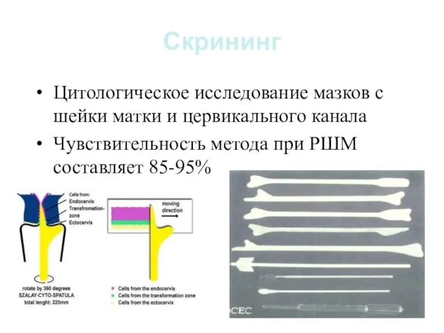 Скрининг Цитологическое исследование мазков с шейки матки и цервикального канала Чувствительность метода при РШМ составляет 85-95%