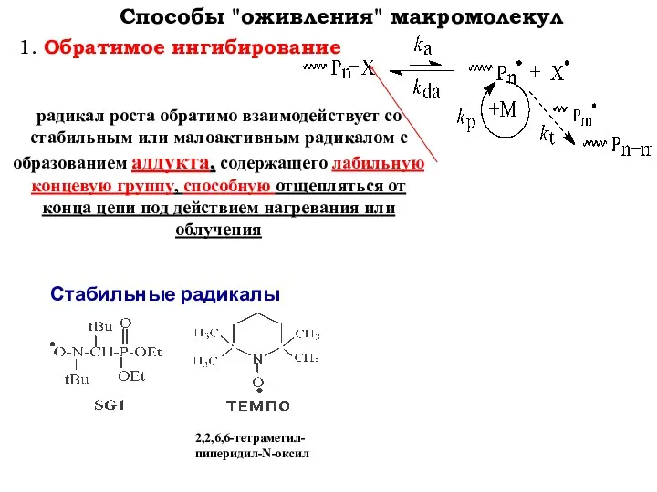 1. Обратимое ингибирование Способы "оживления" макромолекул Стабильные радикалы радикал роста