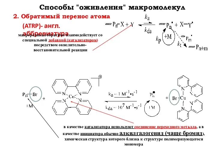 2. Обратимый перенос атома Способы "оживления" макромолекул (ATRP)- англ.аббревиатура макрорадикал